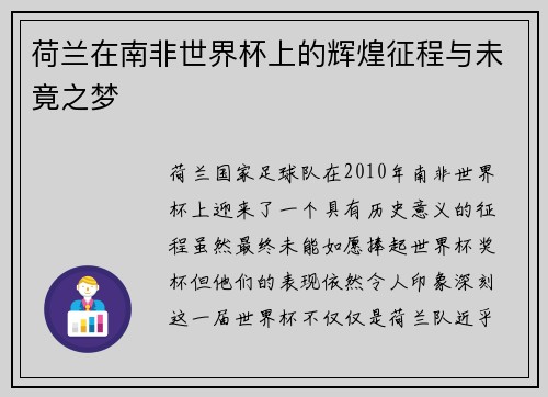 荷兰在南非世界杯上的辉煌征程与未竟之梦